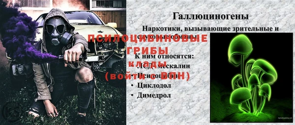 твердый Алзамай