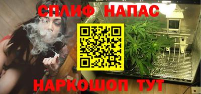 МДПВ Волгодонск