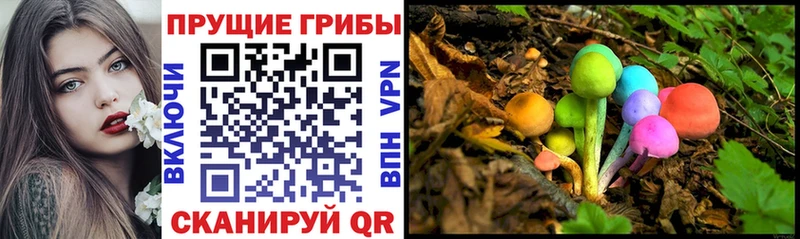 Галлюциногенные грибы GOLDEN TEACHER купить наркоту Отрадное