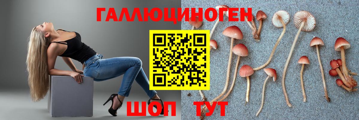 Галлюциногенные грибы MAGIC MUSHROOMS  Вход с VPN  Отрадное 